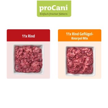 Zwei proCani Hundefutterpakete: eines mit reinem Rindfleisch und eines mit Rind-Poultry-Mix, jeweils mit 11 Einheiten.