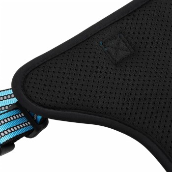 Nahaufnahme eines schwarzen Haustiergeschirrs mit einem atmungsaktiven Mesh-Design und einem blauen und schwarzen gestreiften Riemen.