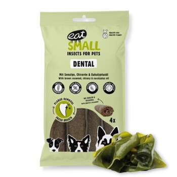 Eat Small DENTAL Zahnpflegesticks 2,4 kg