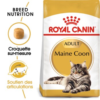 Maine Coon Adulte Croquettes Chat 400 g