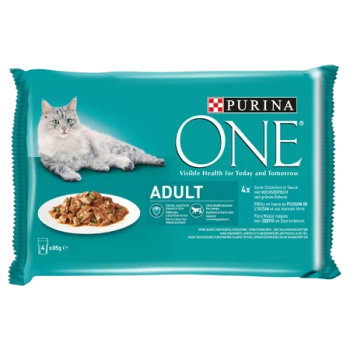 Purina ONE Adult Katzenfutter-Packung mit grauer Katze, Teller mit Nassfutter und Text „Visible Health for Today and Tomorrow“.