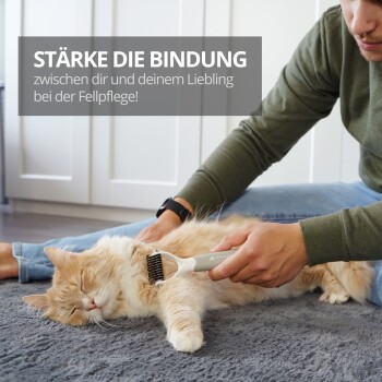 Eine Person bürstet eine entspannte orangefarbene Katze auf einem weichen grauen Teppich, mit Textüberlagerung: "STÄRKE DIE BINDUNG bei der Fellpflege!"