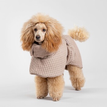 Ein flauschiger Hund trägt einen hellbeigen, strukturierten Mantel mit Kapuze und steht vor einem weißen Hintergrund.
