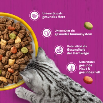 Graugestreifte Katze stupst mit der Pfote in eine gelbe Schale mit Trockenfutter vor violettem Hintergrund; deutscher Text: „Unterstützt ein gesundes Herz, Immunsystem, Harnwege, gesunde Haut & Fell“.