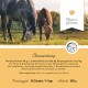 Zwei Pferde grasen auf einem Feld mit einem Etikett darunter, das "Hergestellt in Deutschland" angibt, mit Fütterungshinweisen und Dosierung für tragende Stuten.