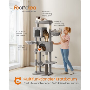 Eine Frau steht neben einem mehrstöckigen Katzenbaum mit drei Katzen. Der Text enthält ihre Namen, Gewichte, Alter und "Multifunktionaler Kratzbaum."