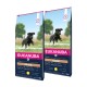 Trockenfutter Hund Large Breed Junior, Huhn 2x15 kg