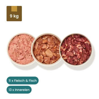 Pakete mit rohem Haustierfutter, die 10x Fleisch, 13x Innereien und 1x Fisch enthalten, mit sichtbaren Etiketten, die den Inhalt und die Nährwertinformationen detailliert beschreiben.