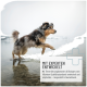 Hund mit schwarz-braunem Fell, der in seichtes Wasser tritt, mit deutschem Text über fachmännisch entwickelte Tierernährung.