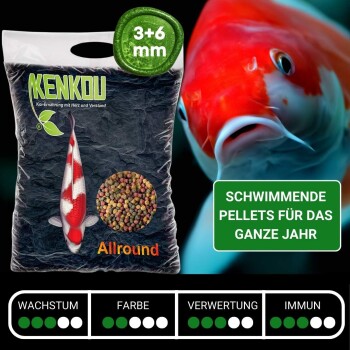 Eine Tüte KENKOU Koi-Futter mit einer roten und weißen Koi-Illustration, bunten Pellets und grünen Punkten für Nährwertbewertungen.