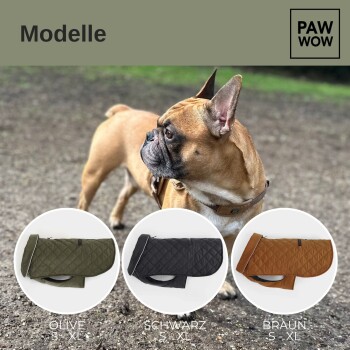 Ein Französischer Bulldogge steht im Freien und schaut zur Seite. Darunter werden drei Hundemäntel in Olivgrün, Schwarz und Braun mit Größenoptionen S-XL angezeigt.