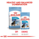 Royal Canin Puppy Maxi dog food packaging featuring dry kibbles and chunks in gravy, labeled for puppies 26-44 kg.
