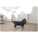 Ein kleiner, flauschiger Hund in einem dunkelblauen Hoodie steht in einem modernen Wohnzimmer mit hellen Holzböden, einer weißen Kommode und einer Lampe.