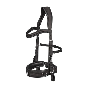 Schwarzes Ledergeschirr für Haustiere mit verstellbaren Riemen und Metallverschlüssen, entworfen für Komfort und Kontrolle beim Spaziergang.