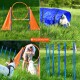 Eine Collage von Hundesportgeräten auf einem Grasfeld, einschließlich eines orangefarbenen Rings, eines blauen Tunnels und Slalomstangen, mit Hunden und dem Logo "PFOTENWUNDER".