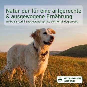 Verpackung für Hundefutter "AniForte PureNature Trockenfutter Rind" mit Rind, Kartoffeln, Karotten, Cranberries. 14 kg, enthält Nährwertinformationen.