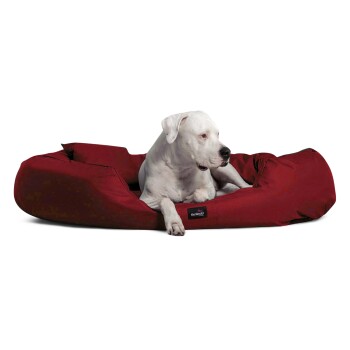 Ein weißer Hund, der auf einem roten Haustierbett mit einem weichen, gepolsterten Design liegt, mit einem schwarzen Etikett, das "tierlandz" liest.