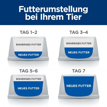 Futterumstellung bei Ihrem Tier – vier Schalen beschriftet mit Tag 1–2, 3–4, 5–6, 7, die den Wechsel von 'Bisheriges Futter' zu 'Neues Futter' zeigen.