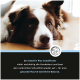 Nahaufnahme eines braun-weißen Hundes, der liegt, mit deutschem Text über Sensitiv Plus Conditioner für gesunde Haut.