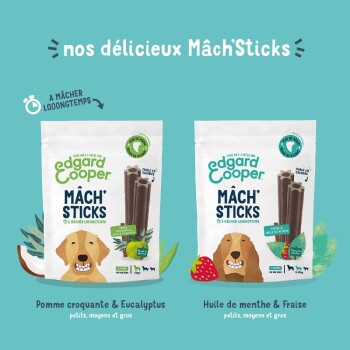 Deux sacs de Mâch'Sticks Edgard Cooper pour animaux, avec les saveurs : "Pomme croquante & Eucalyptus" et "Huile de menthe & Fraise."