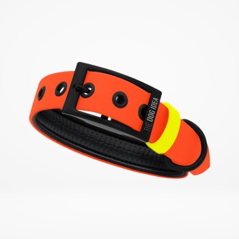 Biothane Halsband Orange neon gelb S