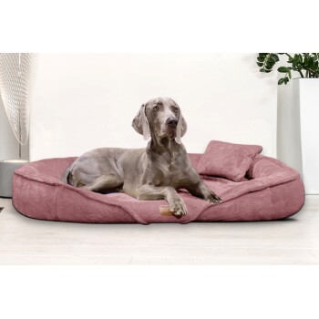 Ein grauer Weimaraner-Hund, der auf einem plüschigen rosa Haustierbett mit einem kleinen passenden Kissen liegt, vor einer hellen Wand.
