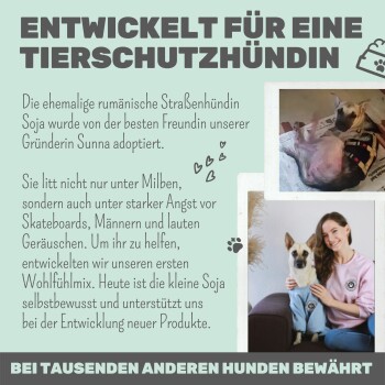 Bild eines Werbeplakats für ein Haustierprodukt, das einen Hund namens Soja zeigt, mit Text, der ihre Rettungsgeschichte und Produktentwicklung beschreibt.