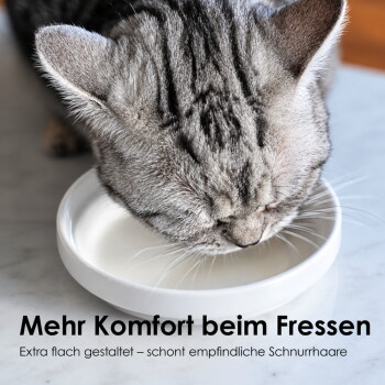 Eine Nahaufnahme einer grauen Katze, die aus einer weißen Porzellan-Schüssel frisst, mit dem Text "Allergikerfreundlich 100% Porzellan & spülmaschinenfest."