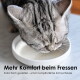 Eine Nahaufnahme einer grauen Katze, die aus einer weißen Porzellan-Schüssel frisst, mit dem Text "Allergikerfreundlich 100% Porzellan & spülmaschinenfest."