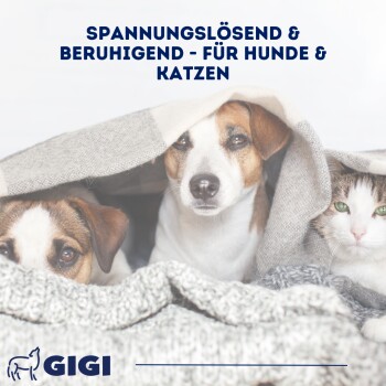Blauer Hintergrund mit dem Text "Spezielle Zusammensetzung", der Melissa- und Baldrianextrakte auflistet, mit einem Bild einer 1,6 cm Pille und dem GIGI-Logo.