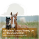 Nahaufnahme eines braunen Pferdes mit einem weißen Streifen auf einer Wiese, mit dem Text: "Natürliche Unterstützung der Verdauungsfunktion."