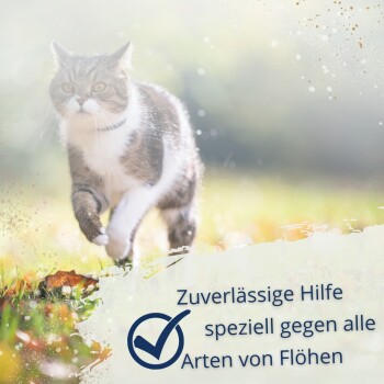 Grau-weiße Katze rennt durch sonnenbeschienenes Gras, Überlagerung mit deutschem Text 'Zuverlässige Hilfe speziell gegen alle Arten von Flöhen' und blauem Häkchen.