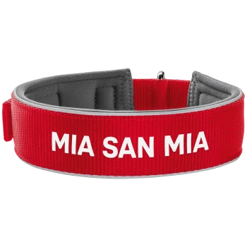 Rote Haustierhalsband mit dem Text "MIA SAN MIA" in Weiß, mit einem gepolsterten Innenraum für Komfort.