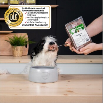 Schwarz-weißer Hund frisst einen Löffel Nassfutter aus einer 'COMPLETE' BARF-Packung; DLG-Qualitätssiegel und Text sichtbar.