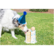 Chien Berger Australien portant un chapeau de fête bleu léchant un gâteau blanc glacé avec des vermicelles sur l'herbe en extérieur.