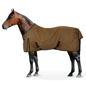 Ein braunes Pferd, das eine braune Pferde-Decke mit schwarzen Riemen trägt, steht vor einem weißen Hintergrund.