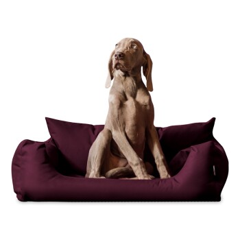 NEMO Hundebett Hundesofa S M L Hundekorb Katzenbett 65 80 100cm pflaume 65 cm, 20 cm, 50 cm
