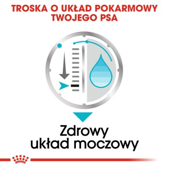 Grafika promująca zdrowie zwierząt, z wskaźnikiem i ikoną kropli wody, z tekstem "Troska o układ pokarmowy twojego psa" oraz "Zdrowy układ moczowy."