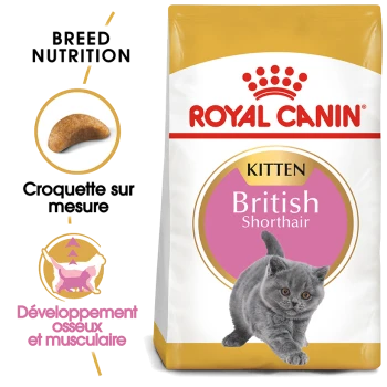 Sac de nourriture pour chat Royal Canin British Shorthair avec un chaton gris, avec un texte mettant en avant la nutrition de la race et le développement musculaire.