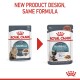 Two pouches of Royal Canin Hairball cat food, labeled "New Product Design, Same Formula," with different cats on each.