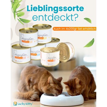 Zwei rotgetigerte Katzen fressen aus einem weißen Napf unter Dosenfutter von Lucky‑Kitty und dem Text „Lieblingssorte entdeckt?“.