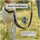 Hund trägt ein schwarzes Halsband, befestigt an einer verdrehfreien Leine mit Drehgelenk, Text auf Deutsch über frustfreie Spaziergänge.