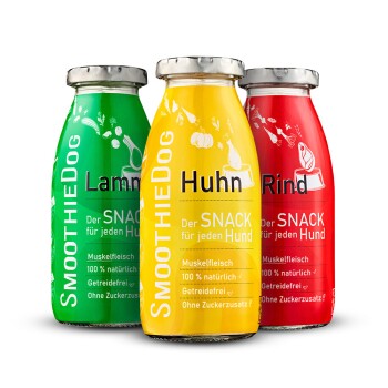 Drei SmoothieDog-Glasflaschen (gelb Huhn, grün Lamm, rot Rind) mit der Beschriftung „Der SNACK für jeden Hund“.