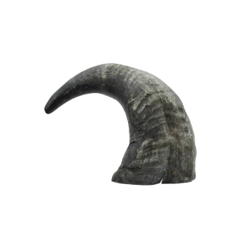 Duża, zakrzywiona, ciemna zabawka do żucia dla zwierząt przypominająca pazur, na białym tle.
