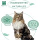 Eine flauschige getigerte Katze sitzt stolz, umgeben von Text: "Ingredientes Naturales", "Sin Tóxicos" und "Vegan Friendly."