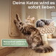 Flauschige Getigerte kratzt an Wand-Sisal-Pad mit Nahaufnahme der Pfote; deutscher Text: Deine Katze wird es sofort lieben; Natursisal animiert.