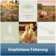 Collage aus Enten, Hühnern und Fütterungssymbolen mit deutschem Text zu empfohlenen Fütterungsverhältnissen und Ergänzungen für Geflügel.