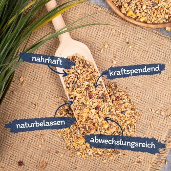 Eine Holzschaufel mit Samen und Körnern auf Jute, beschriftet mit deutschen Wörtern für nahrhaft, energetisierend, natürlich und abwechslungsreich.