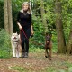 Eine Frau geht mit zwei Hunden, einem flauschigen weißen Siberian Husky und einem gestromten Belgischen Malinois, an der Leine durch einen üppigen grünen Wald.