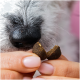 Eine Nahaufnahme der Schnauze und Pfote eines Hundes neben einem Haufen dunkler Haustierleckereien, umgeben von Kokosstücken, Kräutern und lila Blumen auf einem rosa Hintergrund.